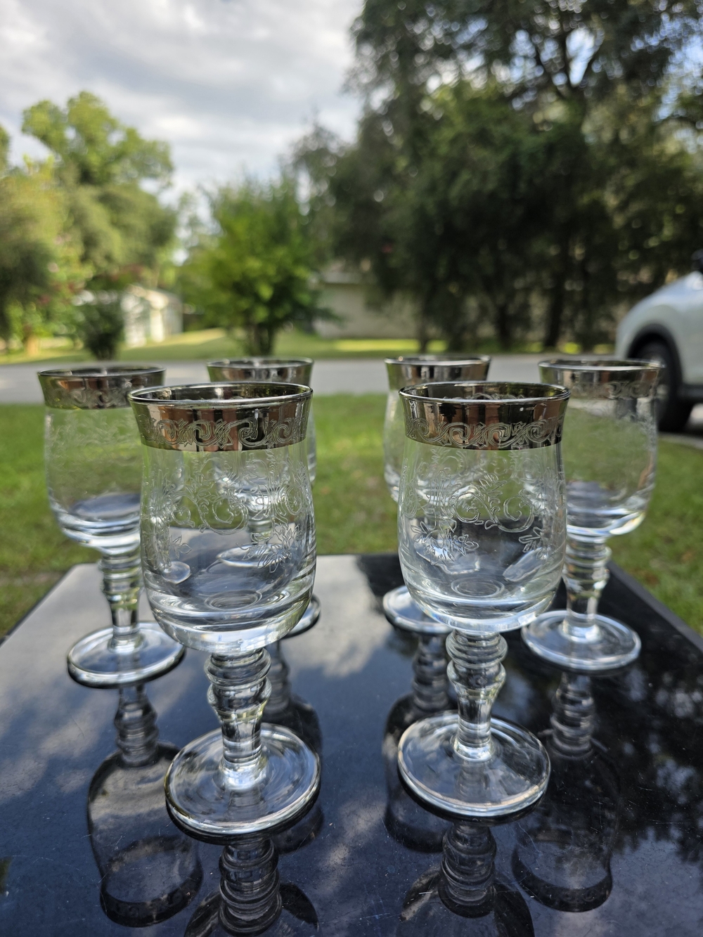 Elegant Clear Etched Glass Liqueur Goblets with Silver Rim Vintage- Set of 6